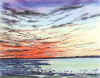Sunrise at Tampabay