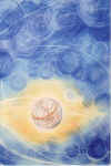 Universe
